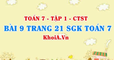 Bài 9 trang 21 SGK Toán 7 tập 1 Chân trời sáng tạo